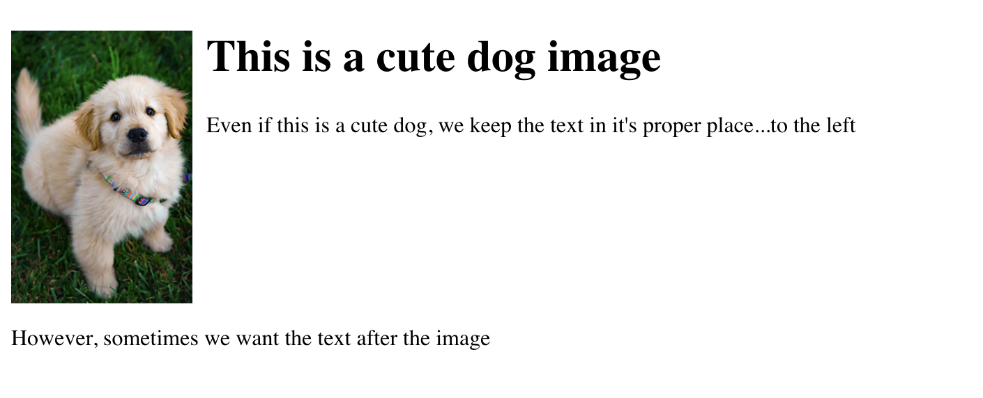 image with CSS demo