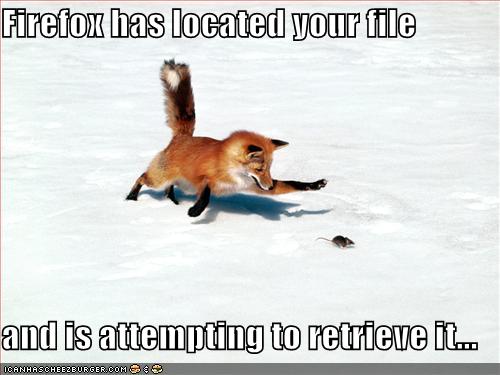 firefox finds a file