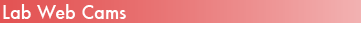 lab_web_cams_button