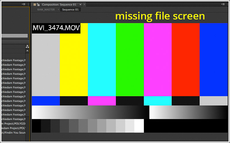 Missing Footage Screen