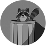 racoon