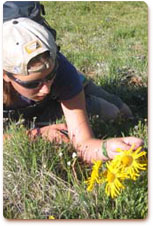 Courtesy of Gore Range Natural Science School